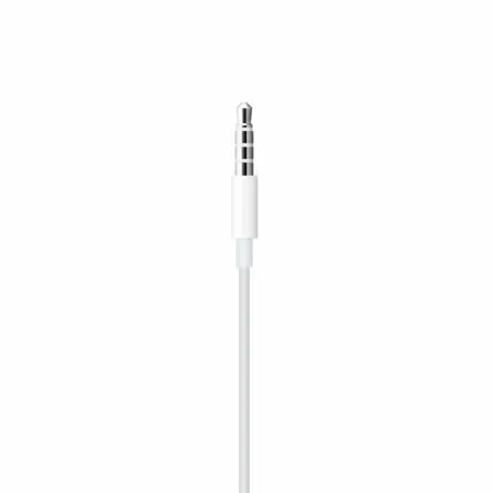 Bluetooth ausinės Apple