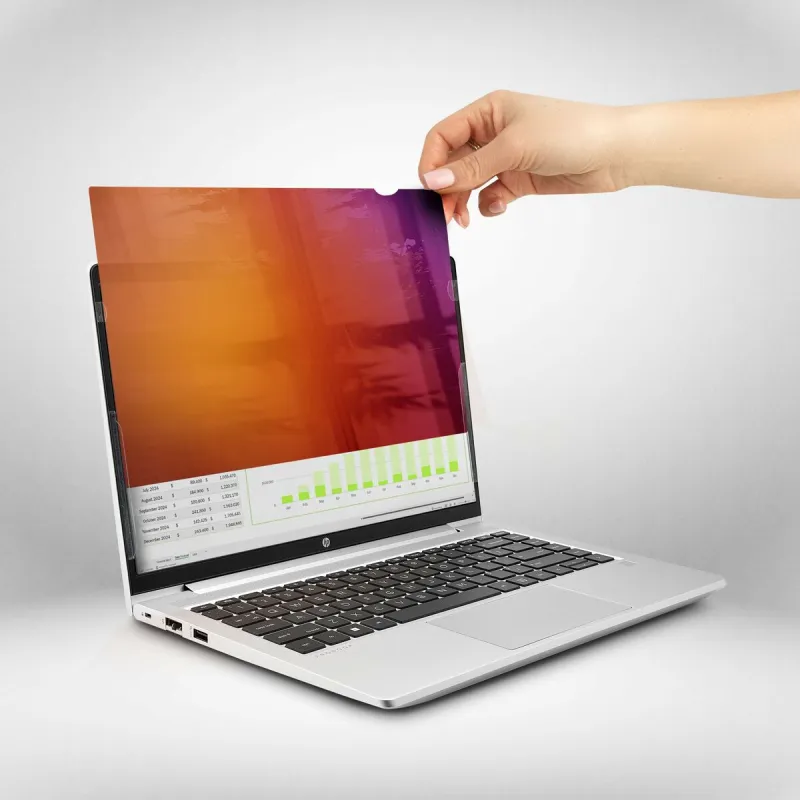 Seinakinnitusega Serverikapp Startech 14G-PRIVACY-SCREEN