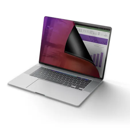 Seinakinnitusega Serverikapp Startech 162MG-PRIVACY-SCREEN