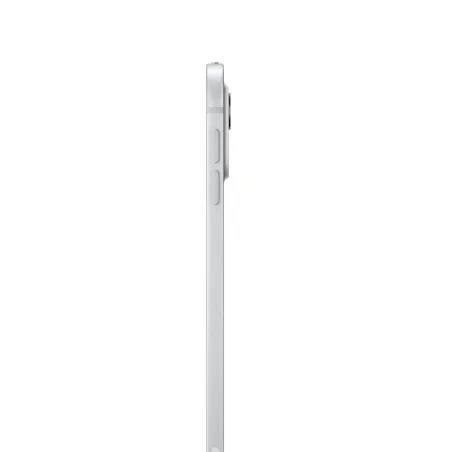 Tabletti Apple iPad Pro 11" 16 GB RAM 2 TB Hopeinen