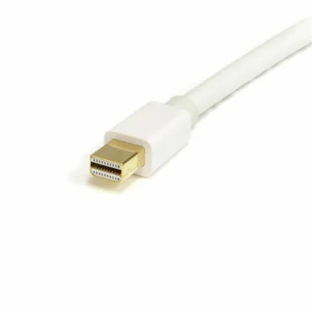 Cablu DisplayPort Mini la DisplayPort Startech MDP2DPMM2MW          (2 m) Balta 4K Ultra HD