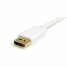 Cablu DisplayPort Mini la DisplayPort Startech MDP2DPMM2MW          (2 m) Balta 4K Ultra HD