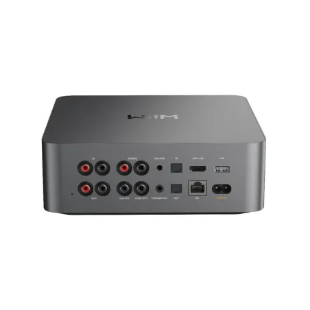 Amplifier Wiim 806110