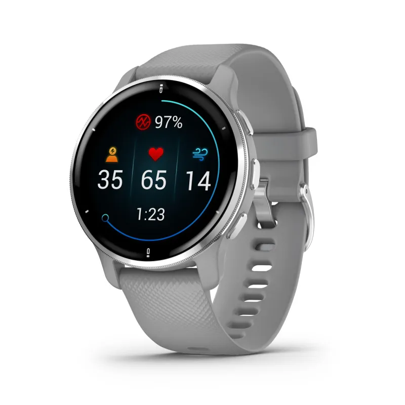 Smartwatch Garmin 010-02496-10 Grey Silver 1,3" 43 mm