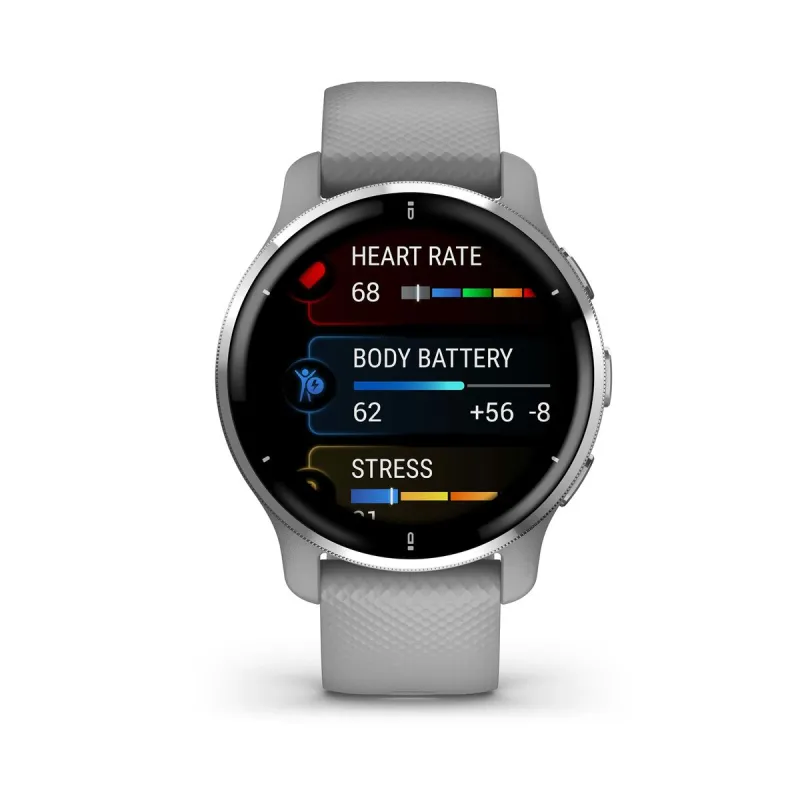 Smartwatch Garmin 010-02496-10 Grey Silver 1,3" 43 mm