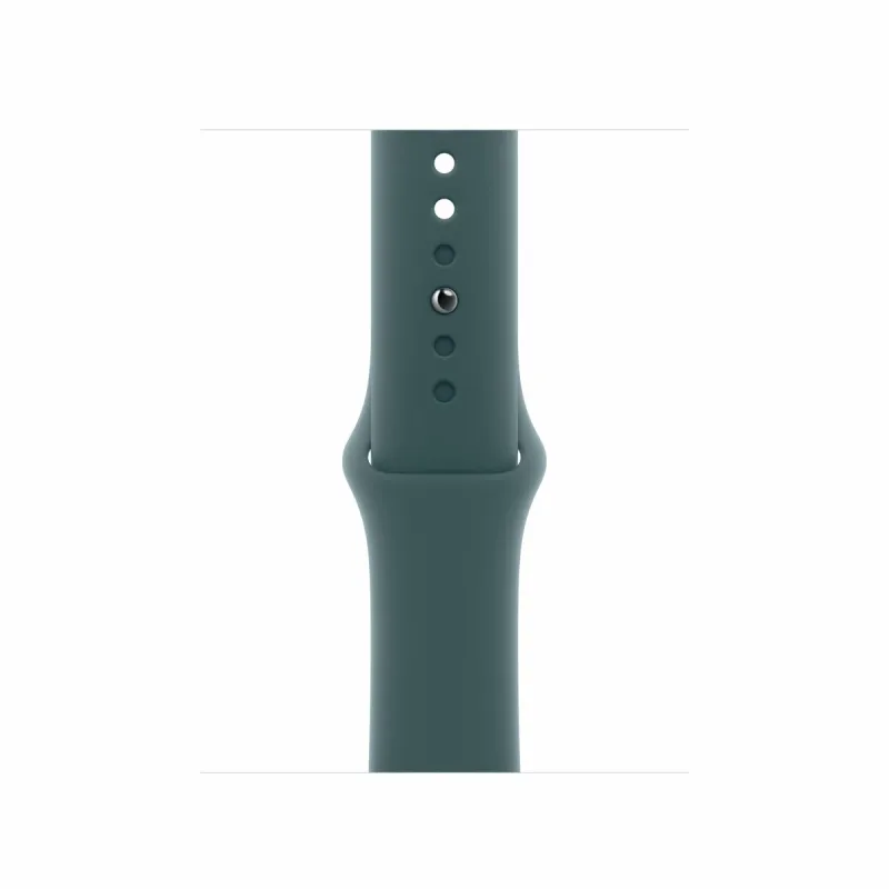 Pulksteņa siksna Apple Q601-0DX