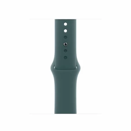 Pulksteņa siksna Apple Q601-0DX