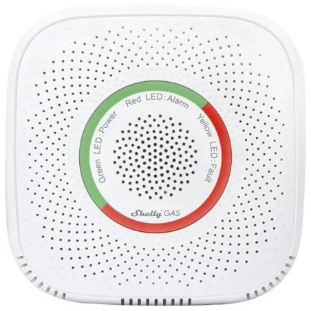 Surveillance Camcorder Shelly GAS LPG