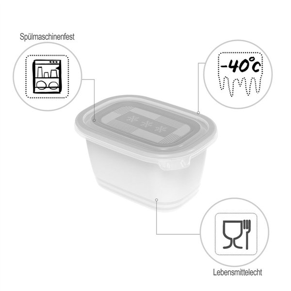 Cat Feeder Rotho Transparent