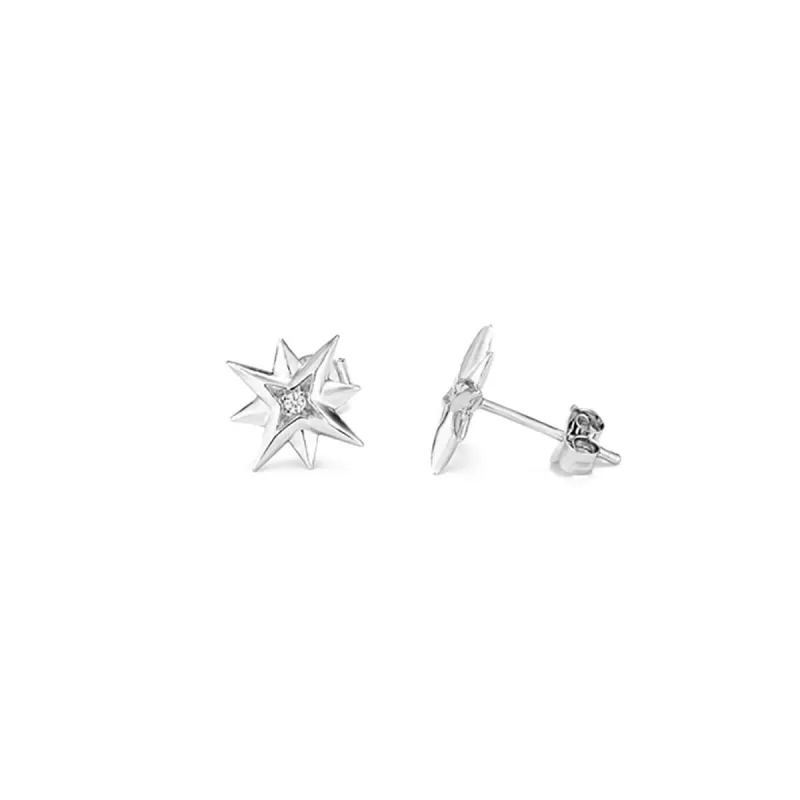Ladies' Earrings Radiant RY000032