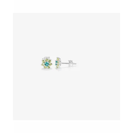Женские серьги Radiant RY000109