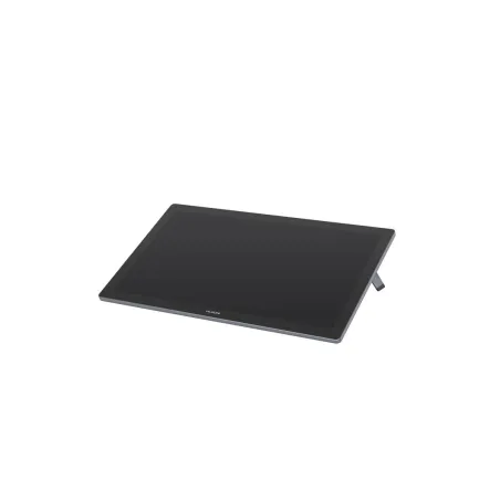 Grafinė planšetė Huion PRO 19