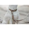 Собачий ошейник Hunter Inari Бежевый M 30-45 cm