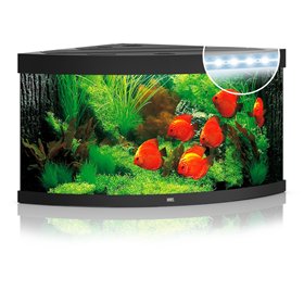 Aquarium Trigon LED 350 L black