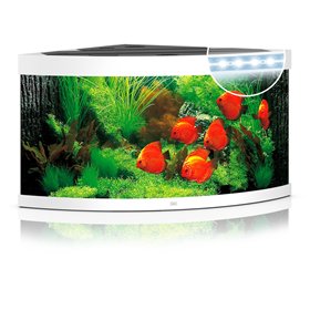 Aquarium Trigon LED 350 L white
