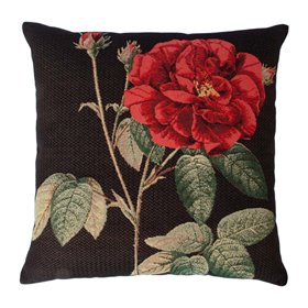 Pillow HOLLY ROSE 45x45cm