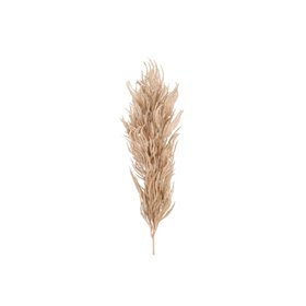 4Living Pampas grass brown 82 cm