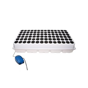 Aeroponic system DWC Clone 84 Platinium