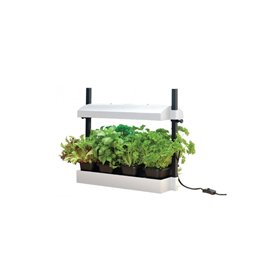 Micro Grow Light Garden 11w, white