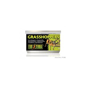 Grasshoppers EXO TERRA, 34g