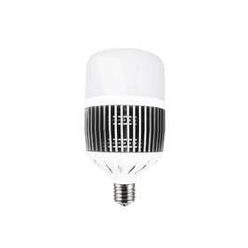 LedStar 100W LED bulb - 6500K