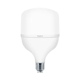 BRY-PREMIUM-28W-E27-T100-3000K-LED BULB