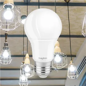 BRY-ADVANCE-9W-E27-A60-6500K-LED BULB