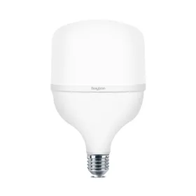BRY-PREMIUM-18W-E27-T80-4000K-LED BULB