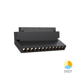 BRY-WSL250-12W-48VDC-3IN1-BLC-MAG. LINEAR