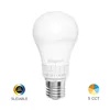 BRY-PREMIUM-8,5W-E27-A60-5IN1-LED BULB