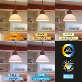 BRY-PREMIUM-13,5W-E27-A65-5IN1-LED BULB