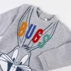 Детский спортивных костюм Looney Tunes Серый
