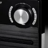 Mini Hi-fi Blaupunkt MS13BT