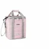 Eväsrasia Ibili