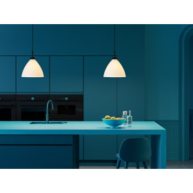 Maxi Dove pendant black E27