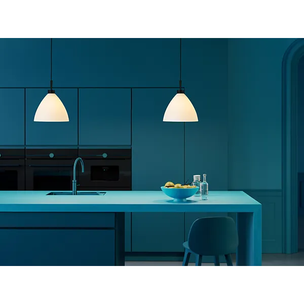 Maxi Dove pendant black E27