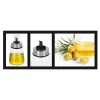 Indelis aliejui Quttin Skaidrus Sidabras stiklas 200 ml 6,5 x 6,5 x 12,5 cm (12 vnt.)