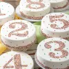 Kakun malli Algon Numerot 1 36 Osaa