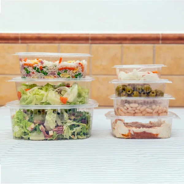 Daugkartinio naudojimo maisto padėklai Algon OPS 250 ml 15,8 x 12,9 x 3 cm (6 Dalys) (24 vnt.)