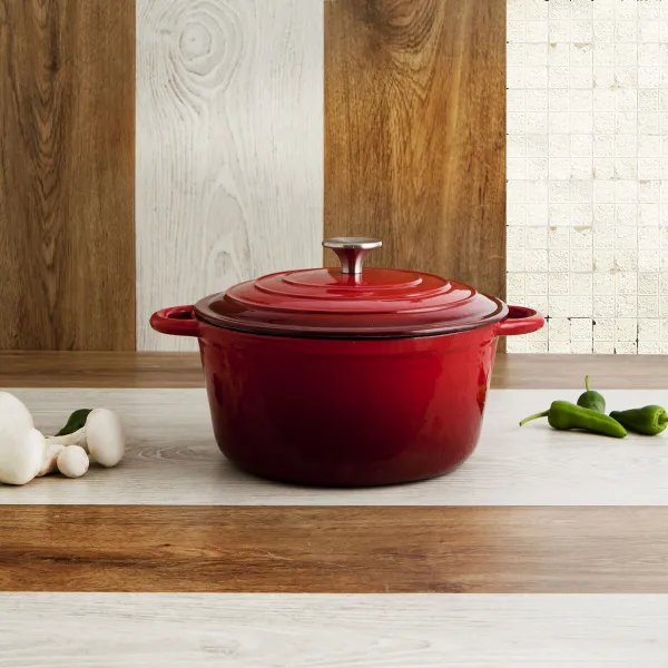 Кастрюля с крышкой Bidasoa Fierro Красный Ø 24 cm 3,7 L (2 штук)
