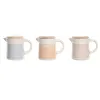 Aliejaus puodas mėsai ar žuviai DKD Home Decor 16 x 11 x 13 cm (3 vnt.)