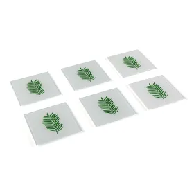 Paliktņi Versa Loksnes (6 Daudzums) (11 x 11 x 4 cm)