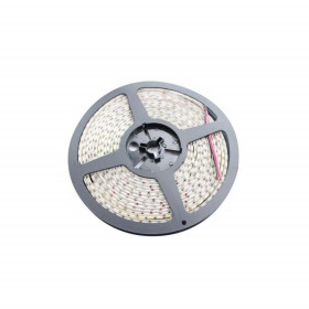 LED strip 10mm, 3000K, 5m