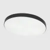 Ceiling luminaire "BOSTON" 2x60W black LED