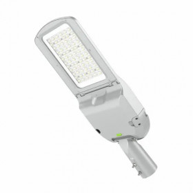 0-40w 160LM/W 2700K Street Light Poseidon, without driver, with Electrical disconnector, with 10kv SPD