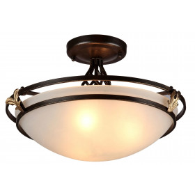 Ceiling Lamp C232-CL-03-R