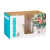 Plate set Leknes Transparent Plastic 5 L 25,5 x 12,3 x 25,5 cm (12 Units)