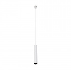 Pendant Lamp P072PL-L12W4K