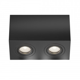 Ceiling Lamp C017CL-02B