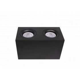 Ceiling Lamp C013CL-02B